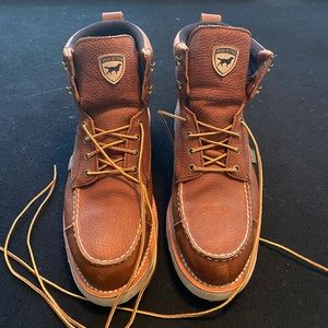 Red wings Irish setters